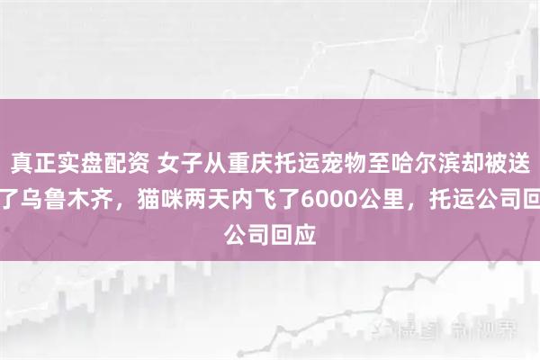 真正实盘配资 女子从重庆托运宠物至哈尔滨却被送到了乌鲁木齐，猫咪两天内飞了6000公里，托运公司回应